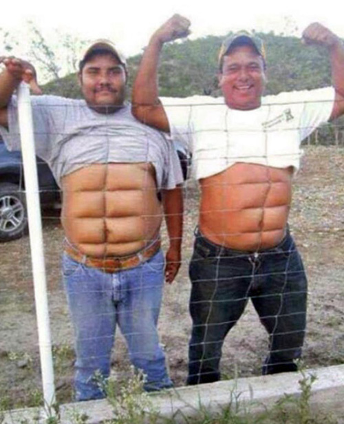 fence-abs